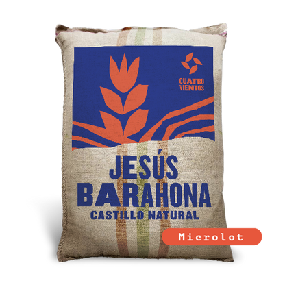 Jesus Barahona Castillo Natural