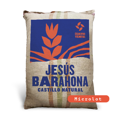 Jesus Barahona Castillo Natural