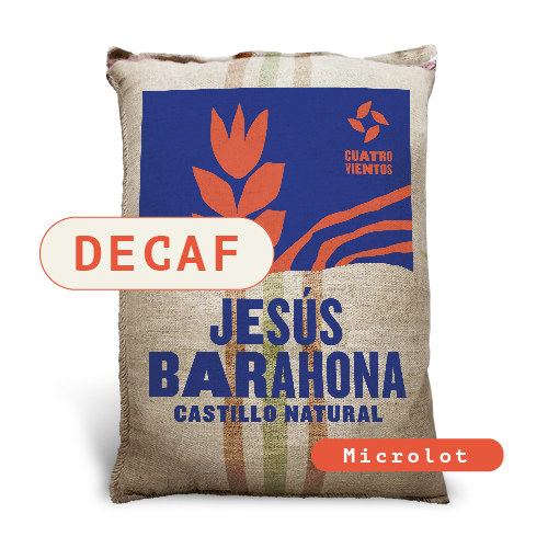 Jesus Barahona Castillo Decaf Natural SC
