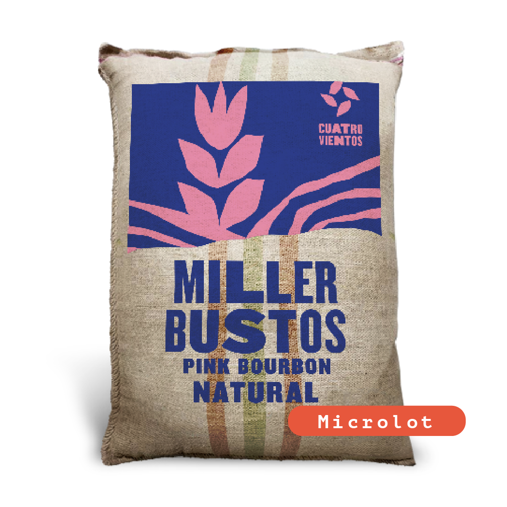 Miller Bustos Pink Bourbon Washed