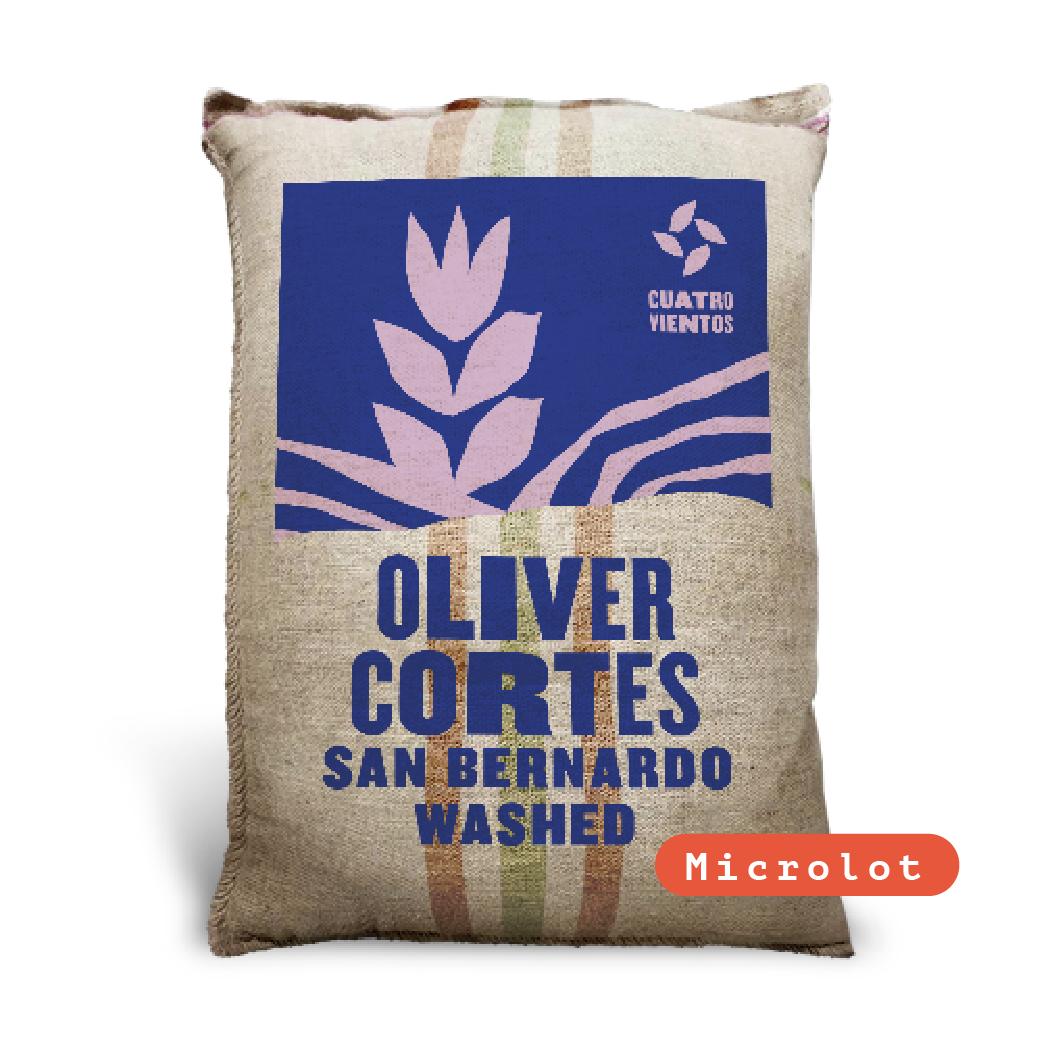 Oliver Cortes San Bernardo Washed