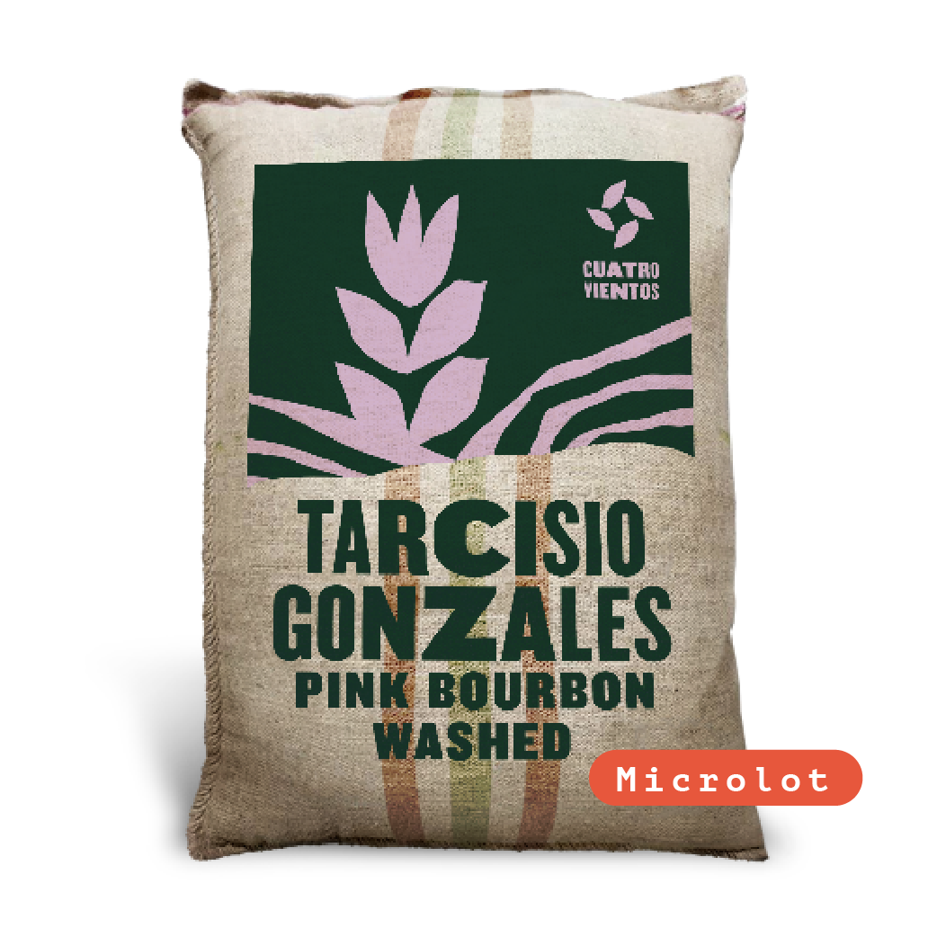 Tarcisio Gonzalez Pink Bourbon Washed